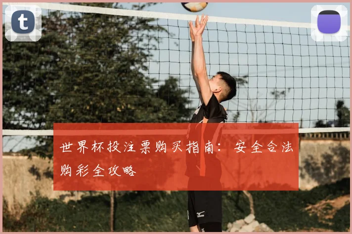 世界杯投注票购买指南：安全合法购彩全攻略