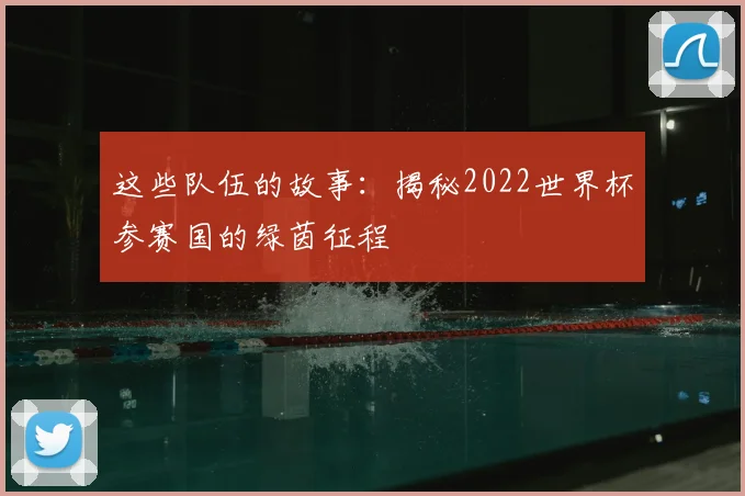 这些队伍的故事:揭秘2022世界杯参赛国的绿茵征程