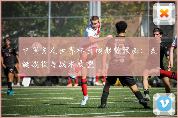 中国男足世界杯出线形势预测:关键战役与战术展望