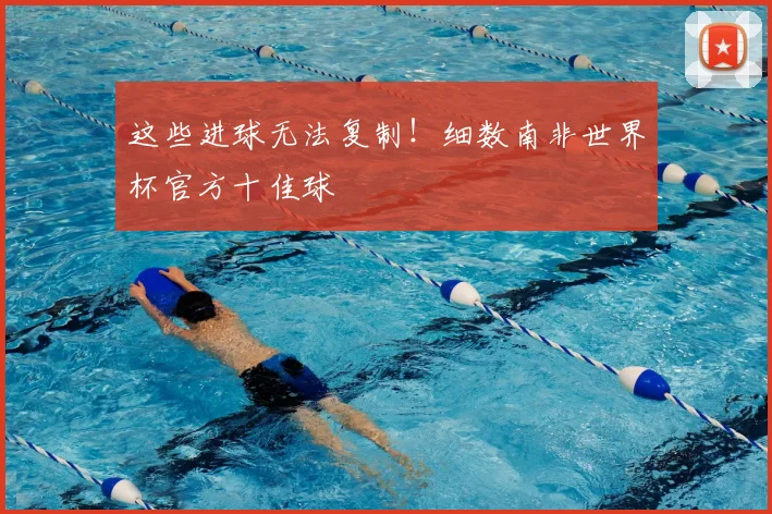 这些进球无法复制!细数南非世界杯官方十佳球
