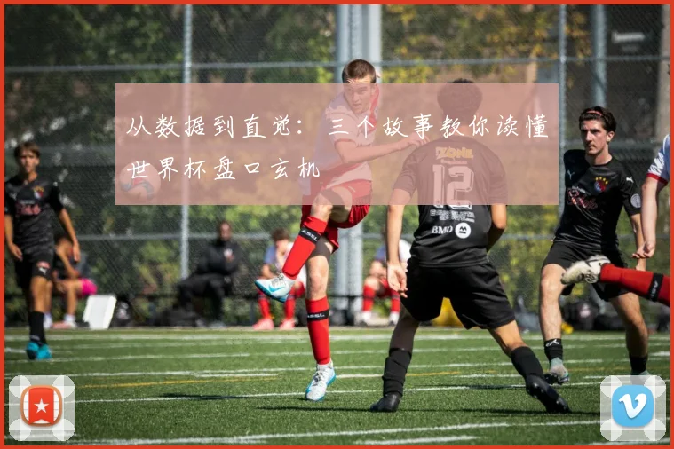 从数据到直觉：三个故事教你读懂世界杯盘口玄机