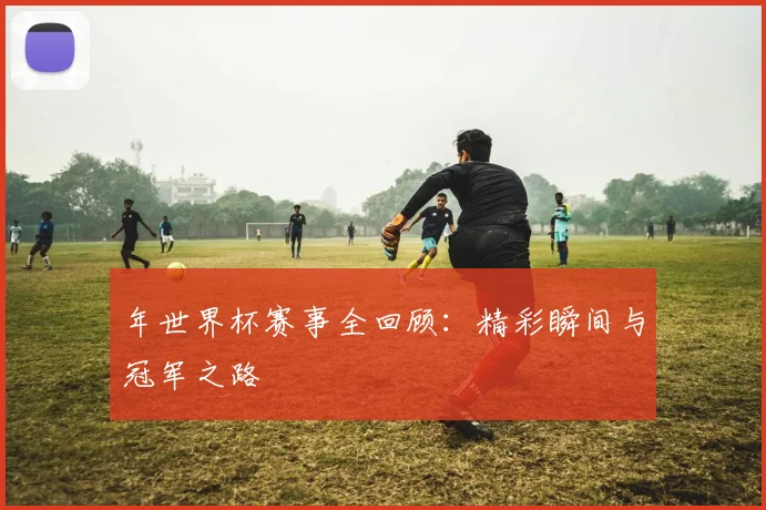 年世界杯赛事全回顾：精彩瞬间与冠军之路