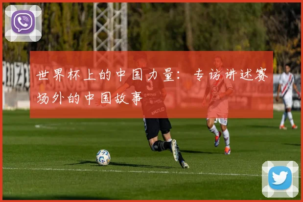 世界杯上的中国力量:专访讲述赛场外的中国故事