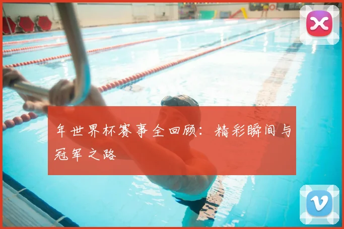 年世界杯赛事全回顾：精彩瞬间与冠军之路