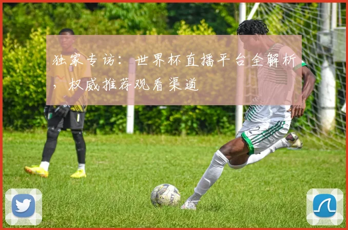 独家专访：世界杯直播平台全解析，权威推荐观看渠道