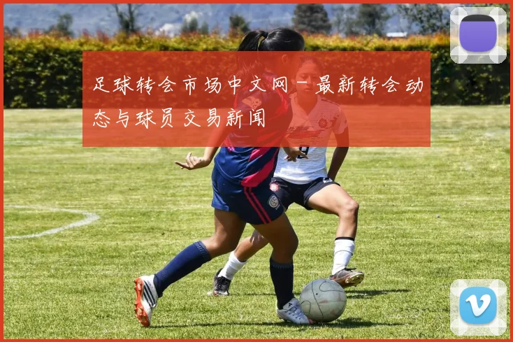 足球转会市场中文网 - 最新转会动态与球员交易新闻