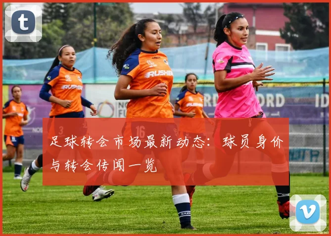 足球转会市场最新动态:球员身价与转会传闻一览