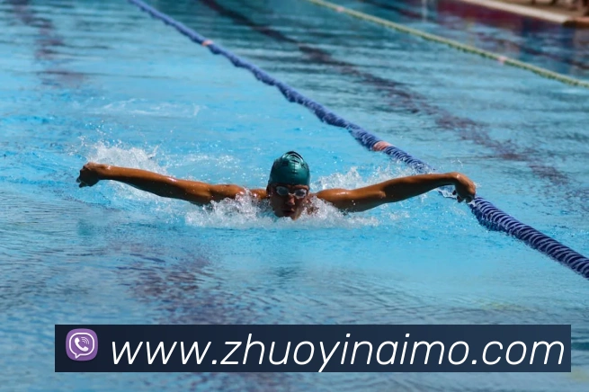 leyu乐涛官网地址平台生态图