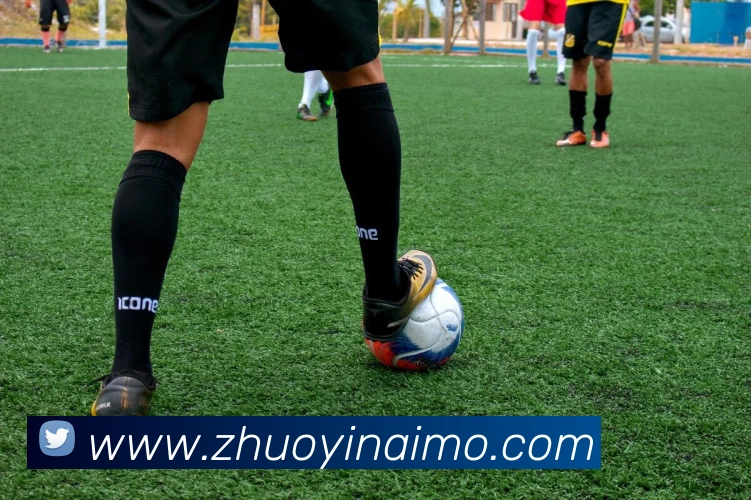 leyu乐涛官网地址全站App